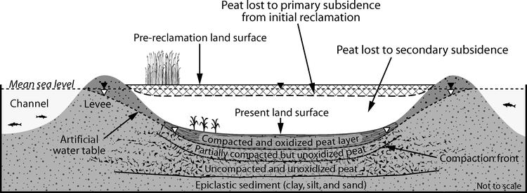 The Legacy of Wetland Drainage on the Remaining Peat in the Sacramento ...