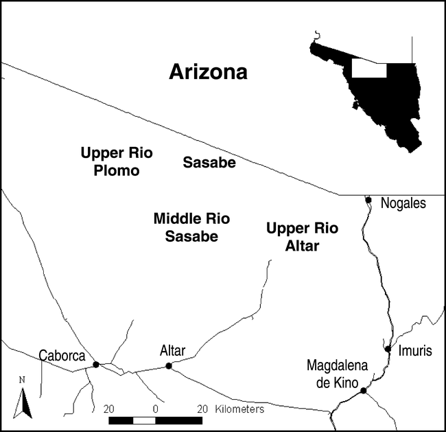 Population Trends And Implications For Monitoring Cactus Ferruginous Pygmy Owls In Northern Mexico