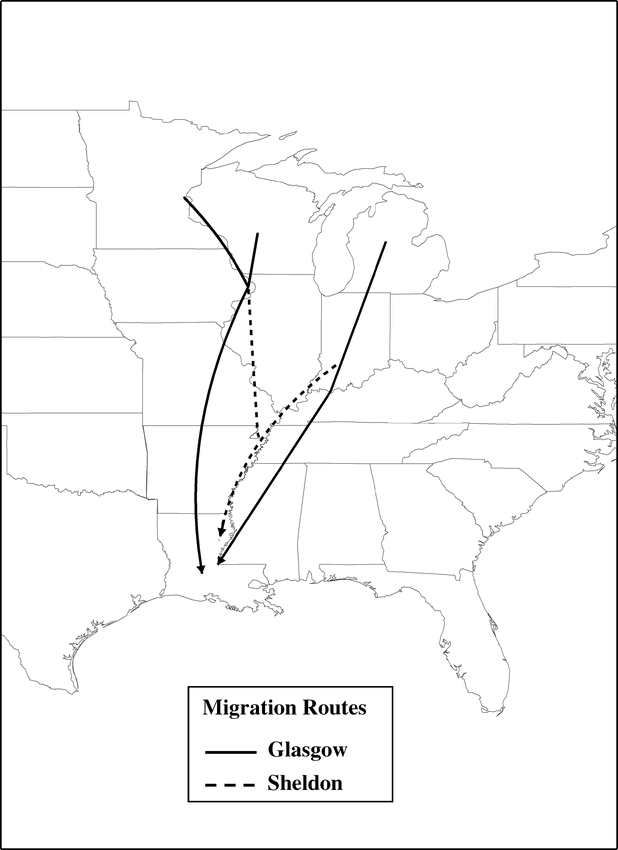 Fall Migration And Habitat Use Of American Woodcock In The Central United States 1263