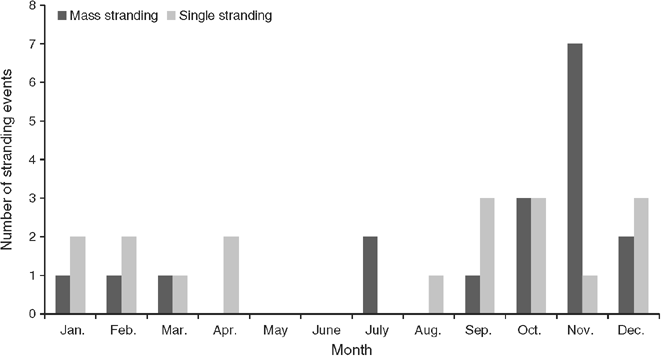 Satellite tracking of long-finned pilot whales (Globicephala melas) following stranding and release in Tasmania, Australia