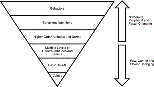 The Influence Of Basic Beliefs And Object Specific Attitudes On Behavioural Intentions Towards A