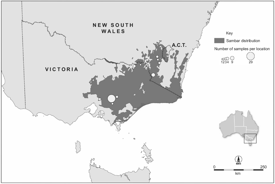 Origins and population genetics of sambar deer (Cervus unicolor ...