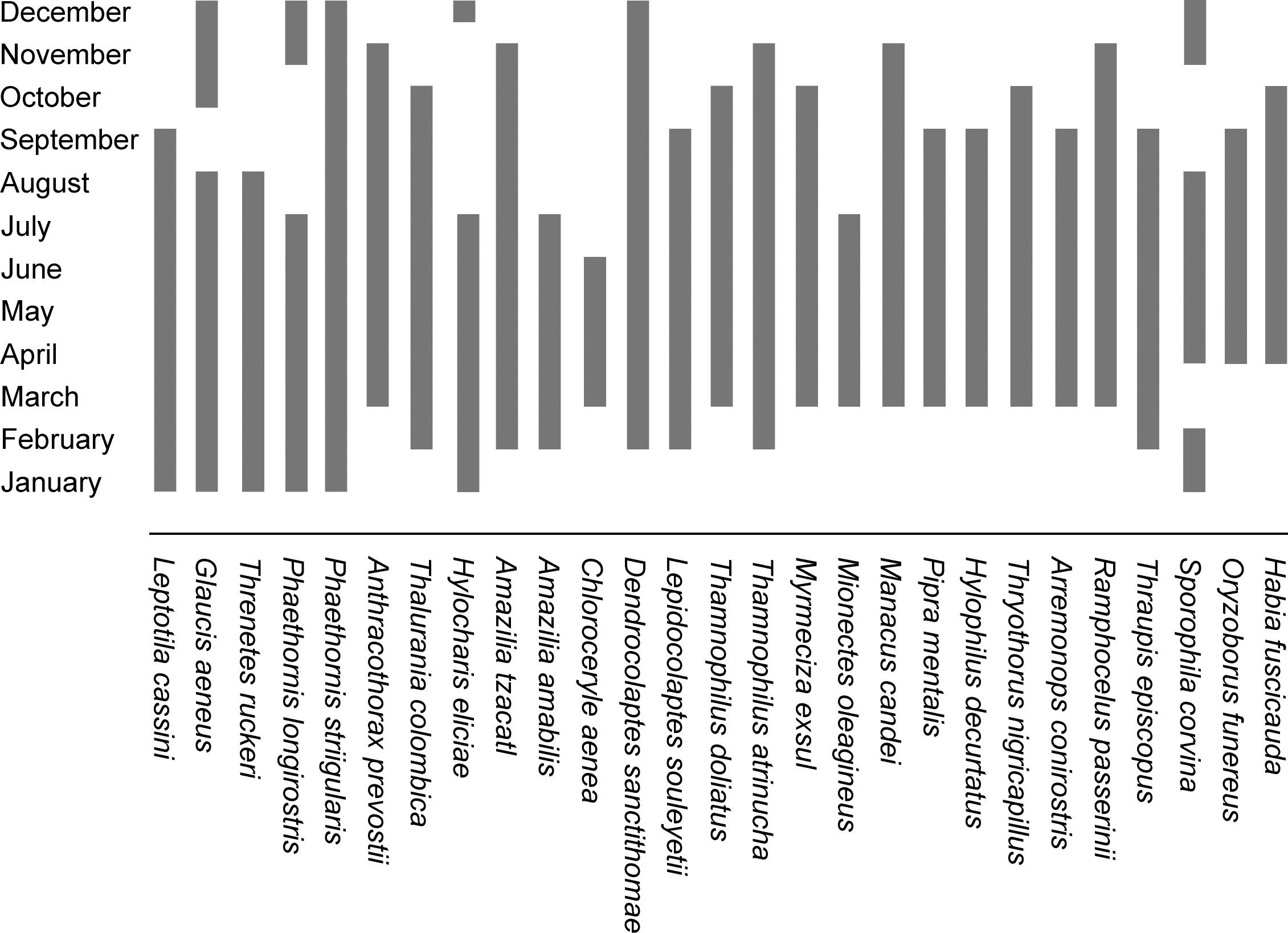 Breeding Seasons Molt Patterns And Gender And Age Criteria For Selected Northeastern Costa 