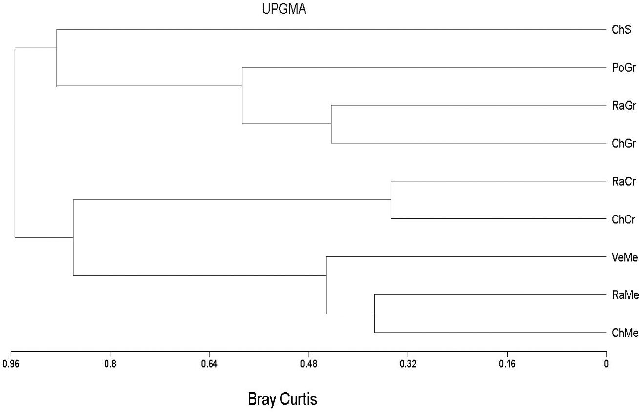 How Do Birds Respond To The Vegetation Of A Desert Wetland In Two