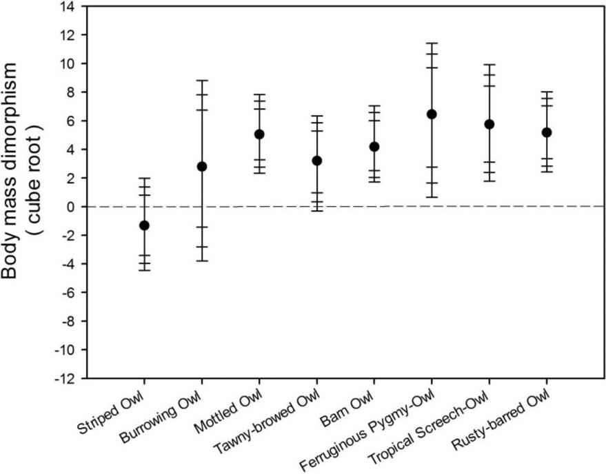 Reverse Size Dimorphism Estimated By An Improved Method In Eight Species Of Neotropical Owls