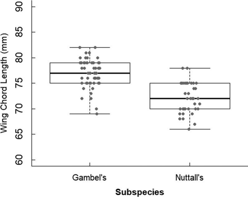 Morphological Differences And Sex Determination Of A Migratory And