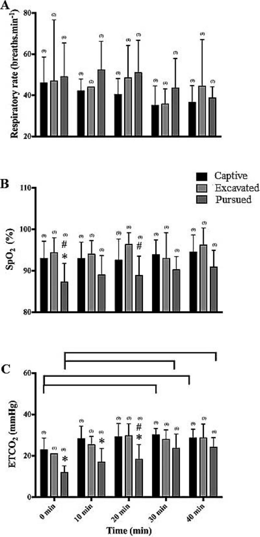Evaluation Of Two Doses Of Butorphanol Medetomidine Midazolam For The Immobilization Of Wild Versus Captive Black Footed Cats Felis Nigripes