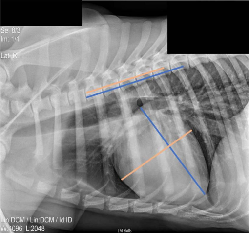 DETERMINATION OF VERTEBRAL HEART SCALE AND ECHOCARDIOGRAPHIC ...