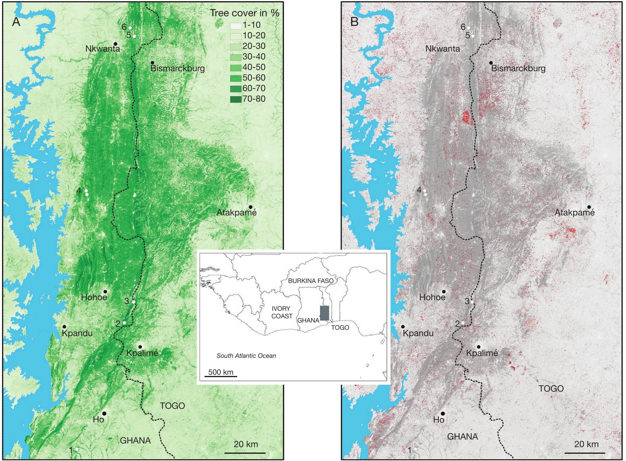 A Survey Of Small Mammals In The Volta Region Of Ghana With Comments On Zoogeography And Conservation