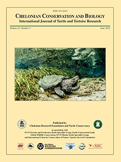 Sea Turtles: Ecology, Behavior and Conservation – Nova Science Publishers