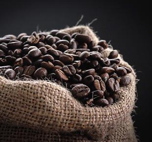 roasted coffee beans in an open brown burlap bag