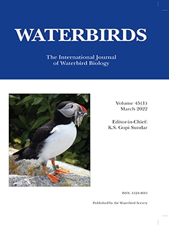 Waterbirds cover