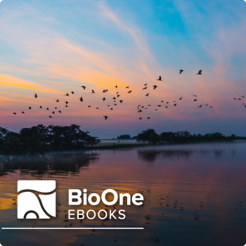 A flock of birds flying above a body of water with a sunset in the background