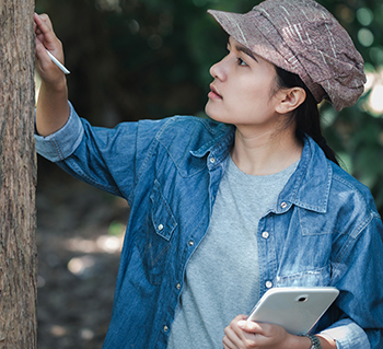 A person looks at tree bark for signs of invasive insects.