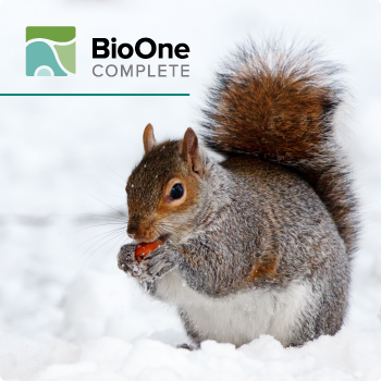 BioOne Complete logo. A gray squirrel sitting on snow-covered ground eating an acorn. 