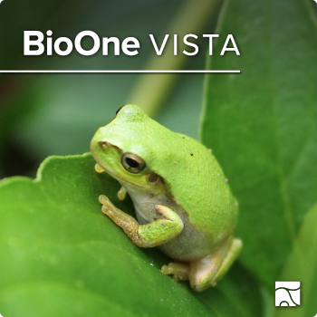 BioOne VISTA. A light green tree frog on a leaf