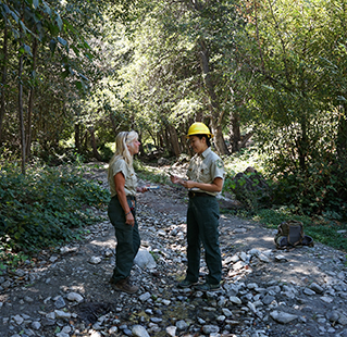 Forest service entomologists standing in a dry, rocky creek bed.