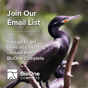 Join our Email List. Sign up to get news and trending content from BioOne Complete. Background is a profile of a cormorant looking up and to the right.