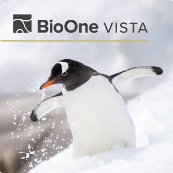 BioOne VISTA. Closeup of a Gentoo Penguin in the snow, it's wings open wide.