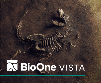 BioOne VISTA. A T-rex fossil in the ground, photographed from above