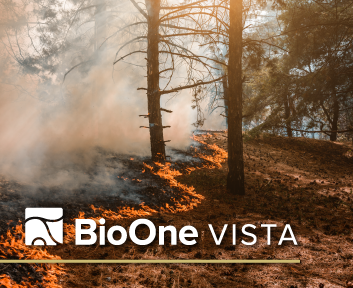 BioOne VISTA logo. Photo of a line of wildfire and smoke in the woods