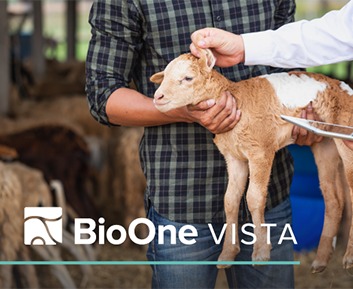 BioOne Vista. Photo of a person holding a lamb while another person examines the lamb's ear.