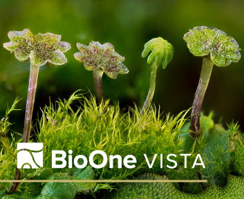 BioOne Vista. Macro view of four flat-topped antheridiophores (male sexual parts) and one archegoniophore (female) growing from the surface of a liverwort thallus. Moss growing among the thalluses.