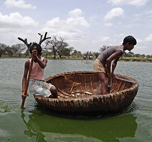 Two people fishing in a wetland in India