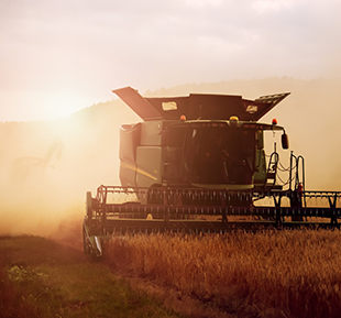 Farming machinery harvesting grain with a orange sky behind