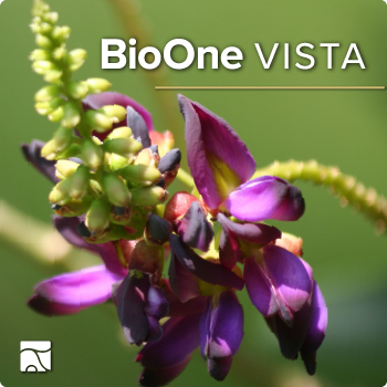 BioOne VISTA. Photo: Kudzu flower