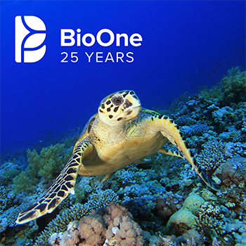 BioOne 25 Years logo. Photo of a sea turtle and coral reef.