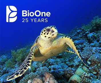 BioOne:25 Years logo. A sea turtle with coral reef.