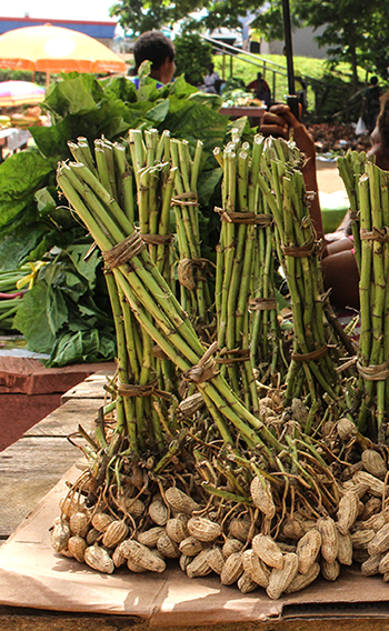 A farmers' market in the pacific islands.