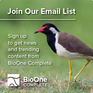 Join our Mailing List. Sign up to get news and trending content from BioOne Complete. Background is a profile view of a red-wattled lapwing.