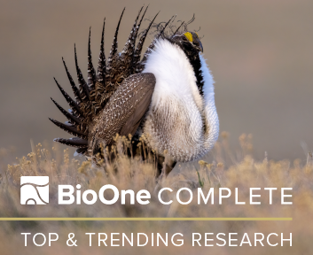 BioOne Complete. Top & Trending Research Photo of male greater sage grouse.