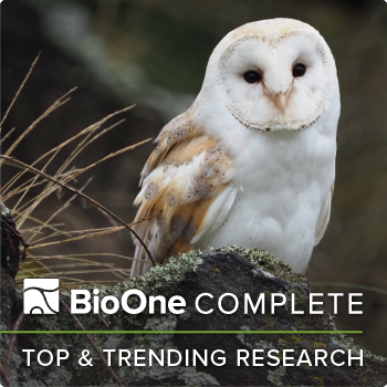 BioOne Complete Logo - Top & Trending Research. Photo: Barn owl