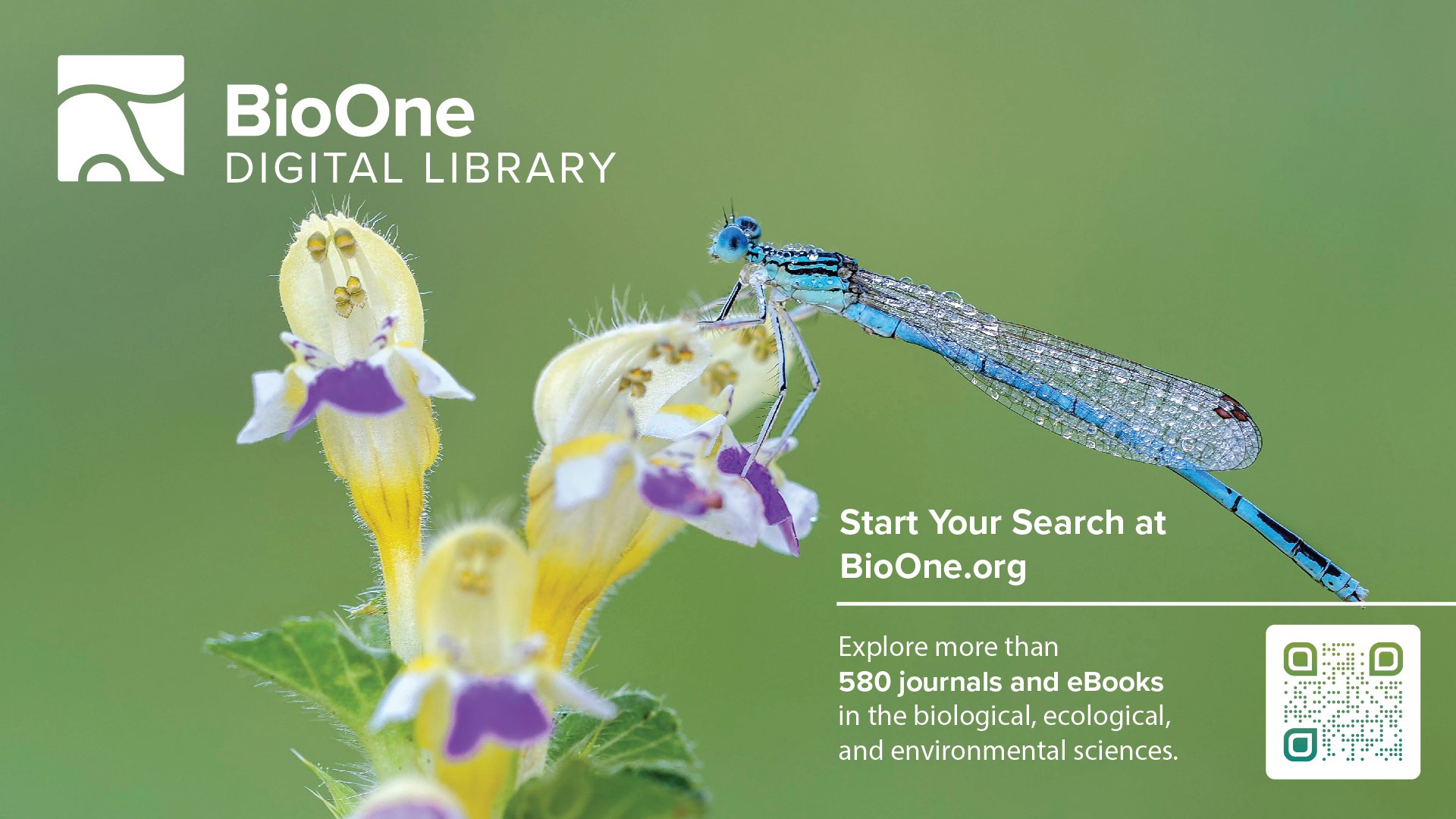 BioOne Digital Library Slide featuring a dragonfly