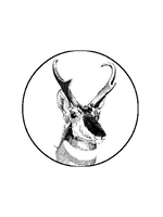 American Society of Mammalogists Logo