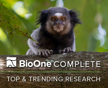 BioOne Complete logo. Top & Trending Research. Photo of a Black-tufted marmoset on a tree branch.