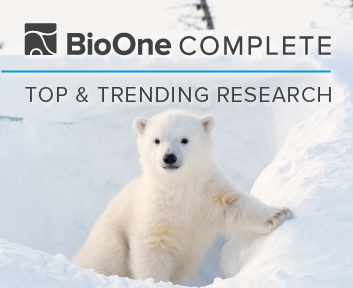 BioOne Complete. Top & Trending Research. A polar bear cub in the snow at the opening of its den.